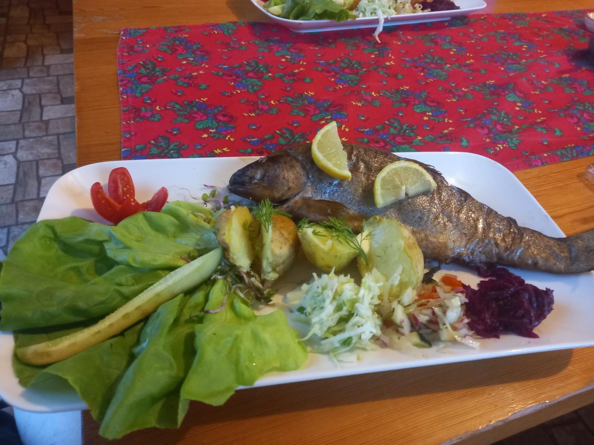 Gazdowka Na Mosornym Groniu Villa Zawoja Dış mekan fotoğraf